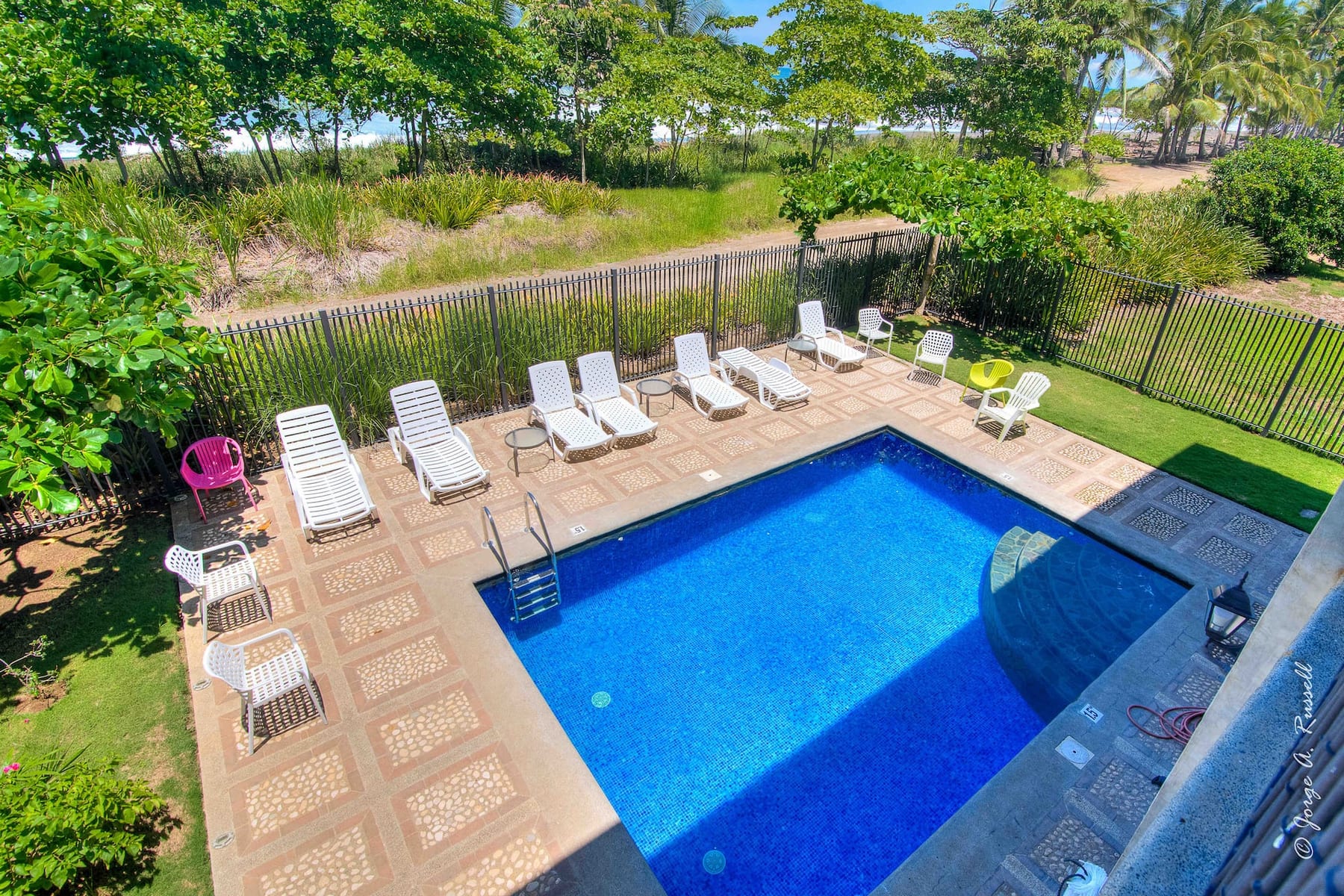 The villa's pool with sun loungers and palms