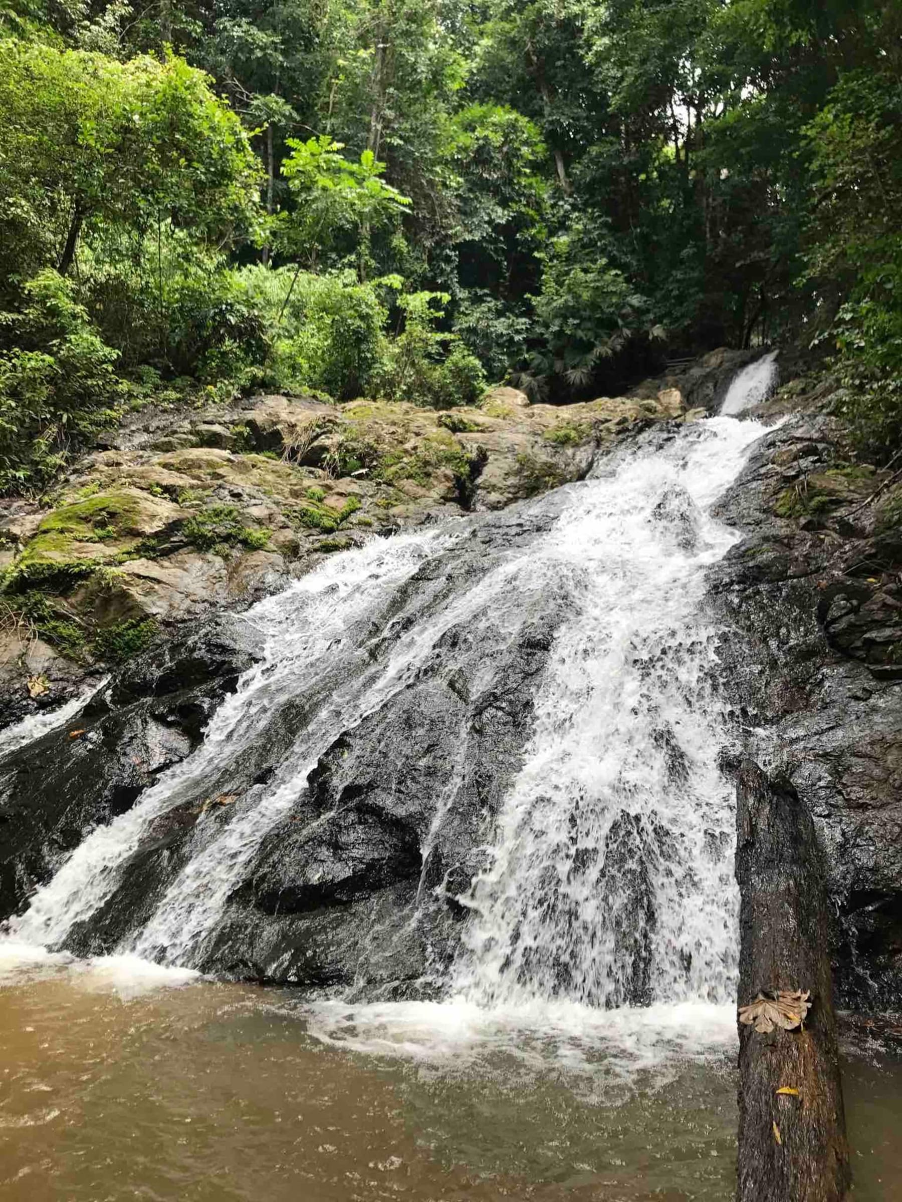 A waterfall tumbling through the rainforest