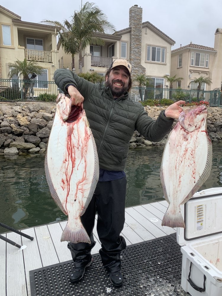 An angler holding two halibut on the dock