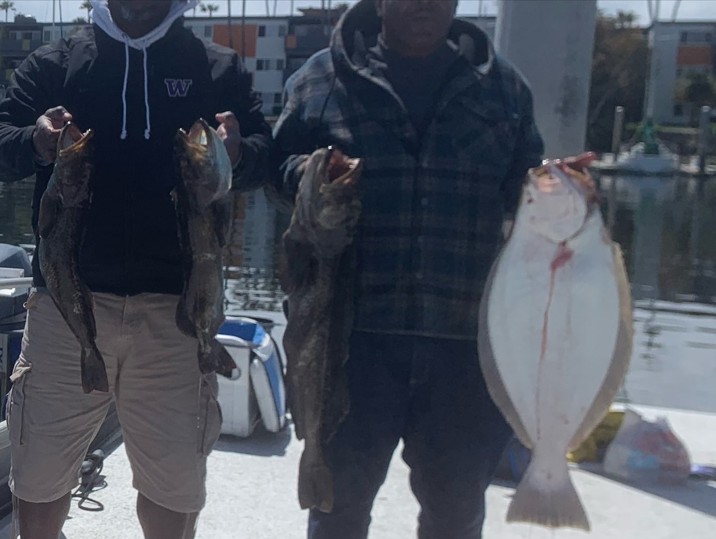 Two anglers with a halibut and a lingcod on the dock