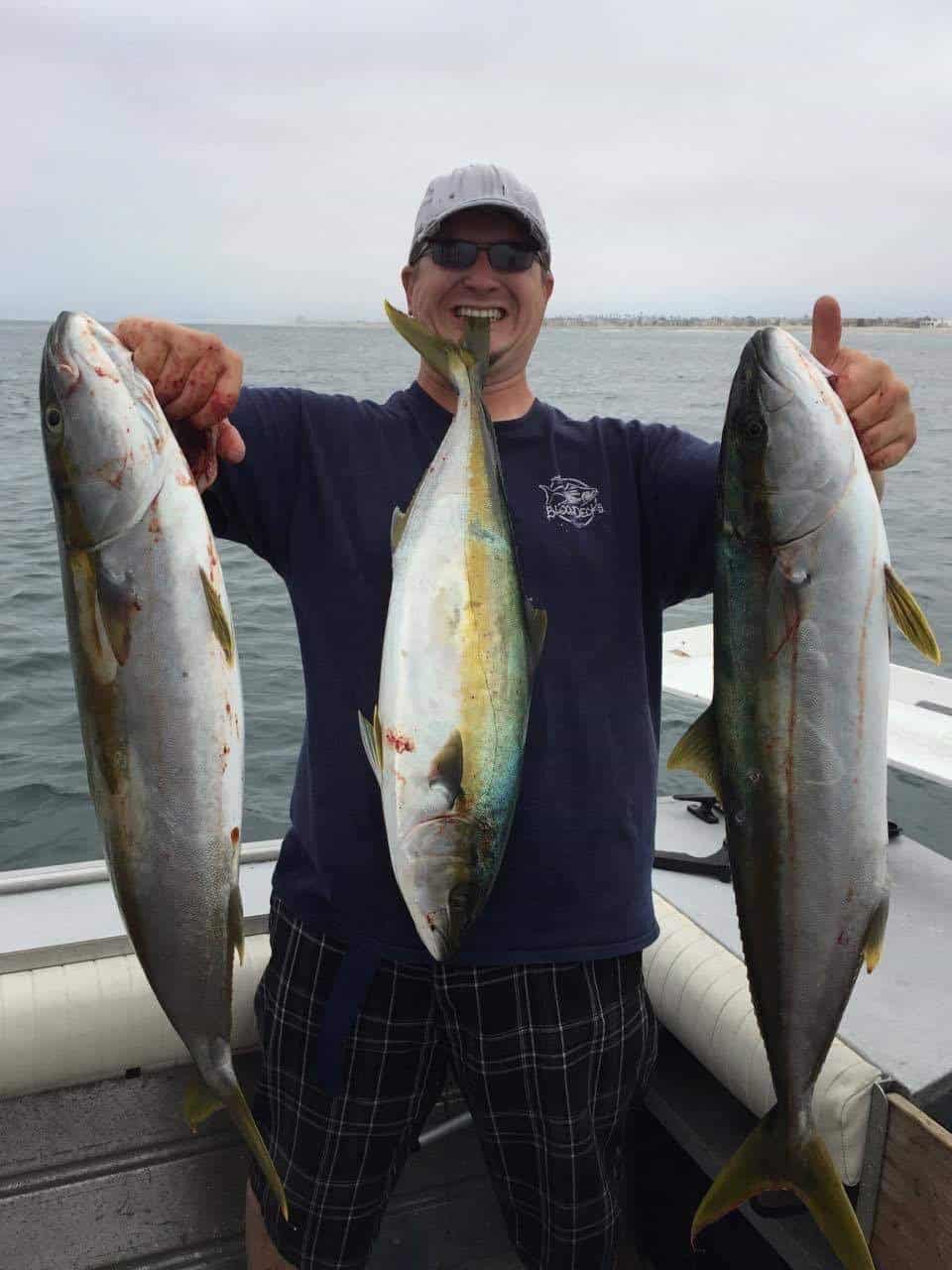 An angler holding three yellowtail