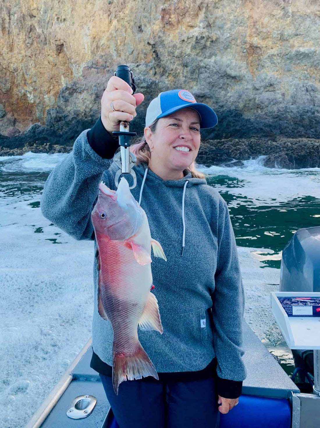 A California sheephead straight after it was landed, its color already fading