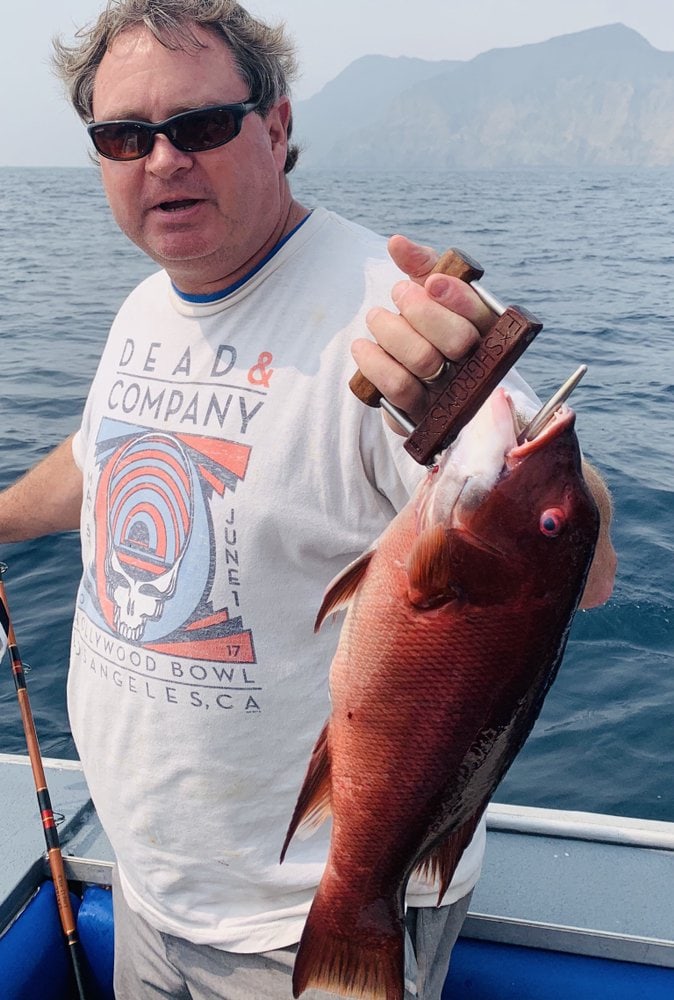 An angler holding a bright red ikejime'd sheephead
