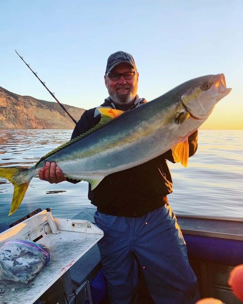 An angler holding a yellowtail at first light