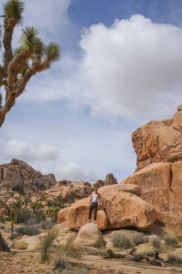 A man wearing suspenders stands on a large rock in a desert with Joshua trees