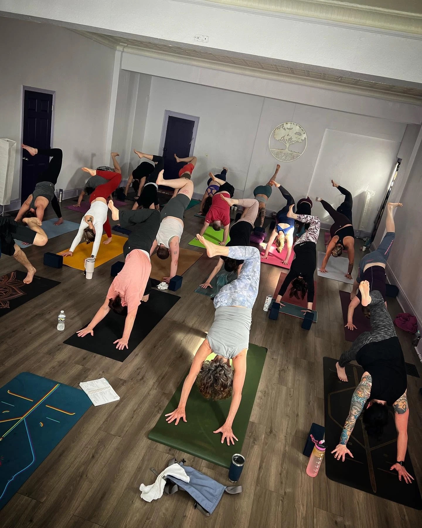 A packed inversion workshop at Lakewood Yoga, the whole room upside down