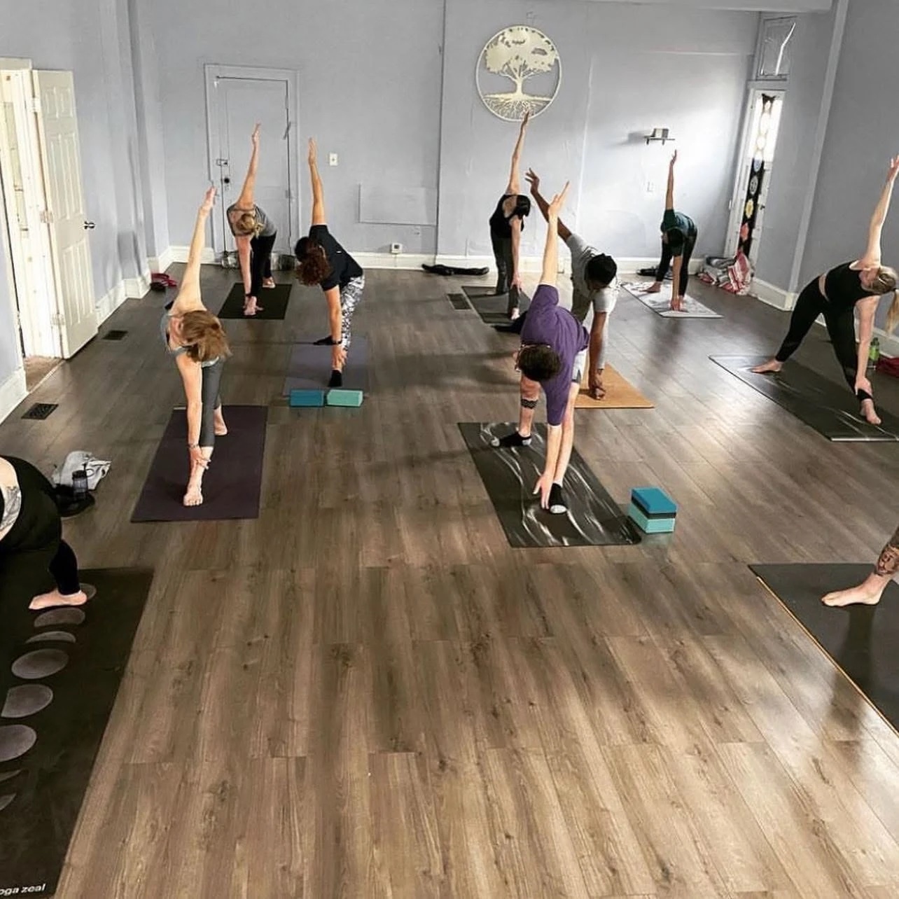 Students of mixed ages in triangle pose during a class at Lakewood Yoga