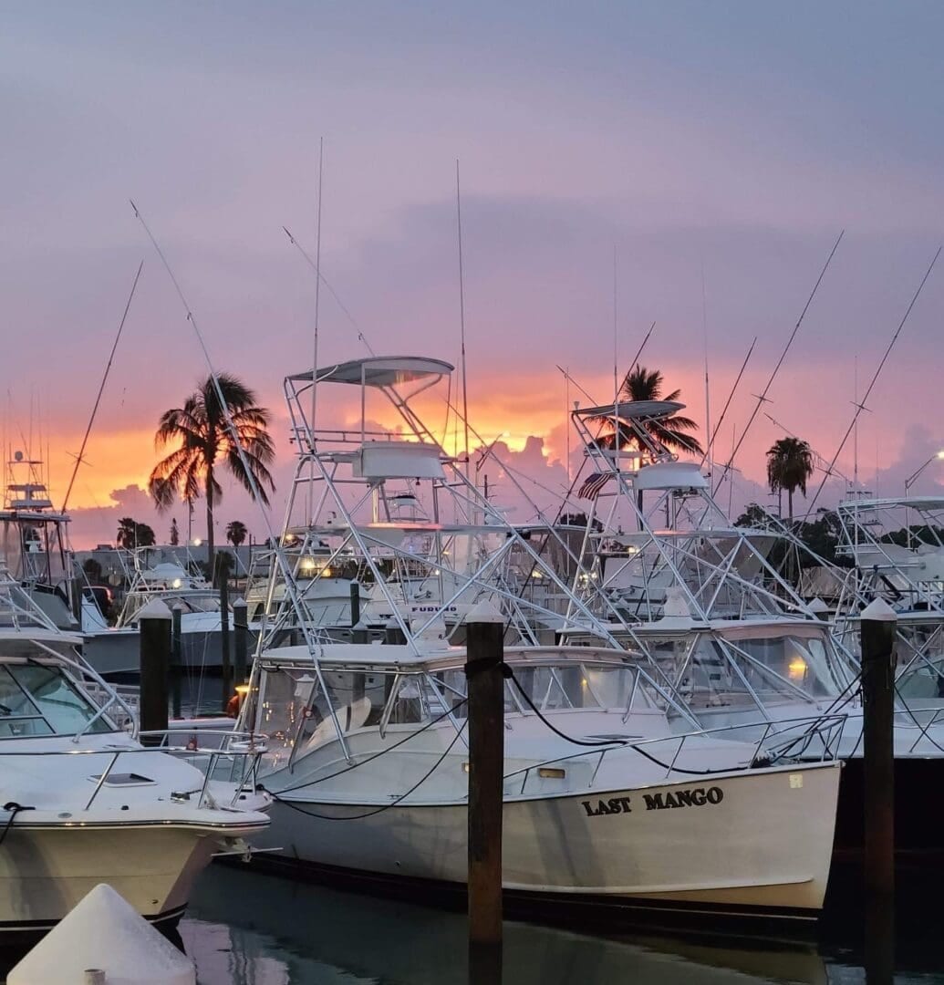 White fishing boat named Last Mango docked at a marina under a colorful sunset sky