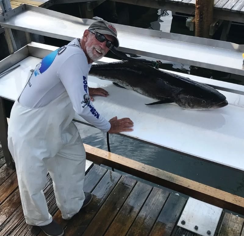 Cobia