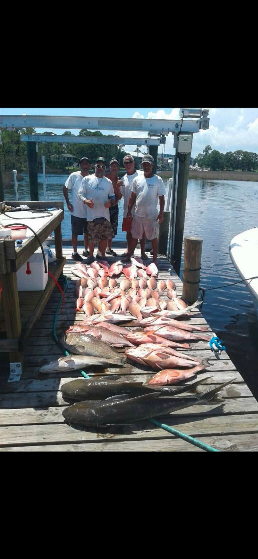 Five men stand on a wooden dock posing behind a large catch of fish