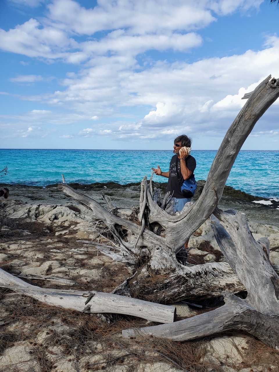 Man holding seashell beside driftwood on rocky shoreline with turquoise ocean