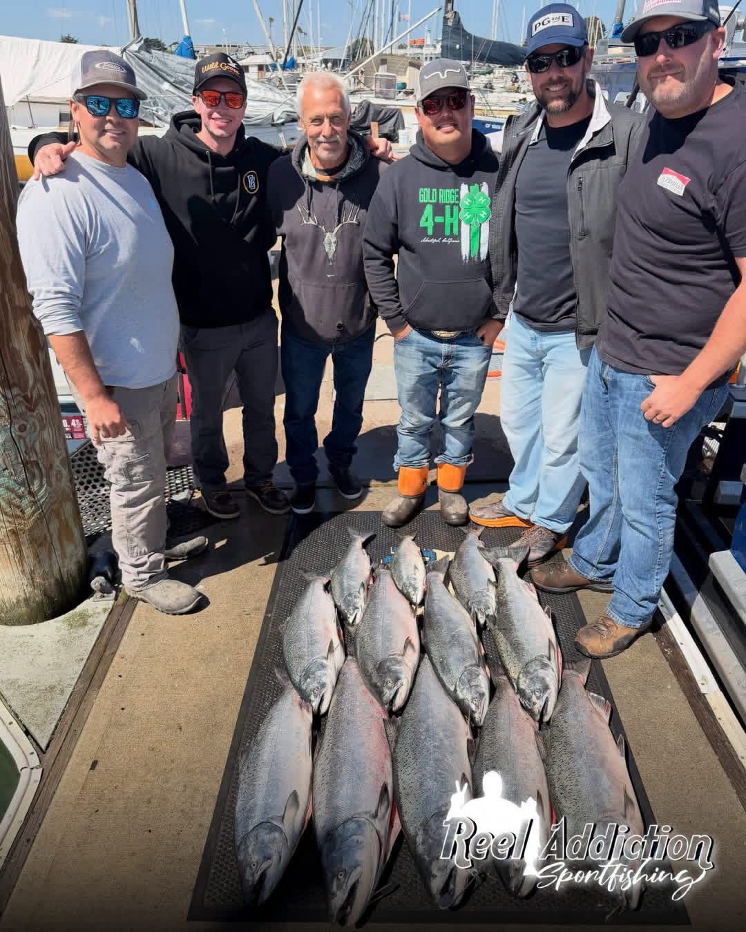 Six anglers on the dock behind a limit of king salmon