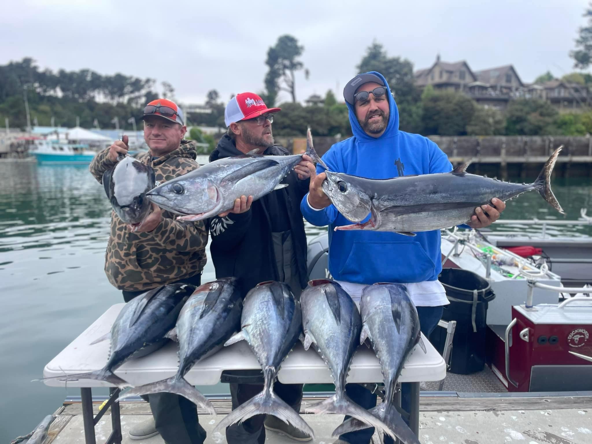 Three anglers with albacore tuna on the dock