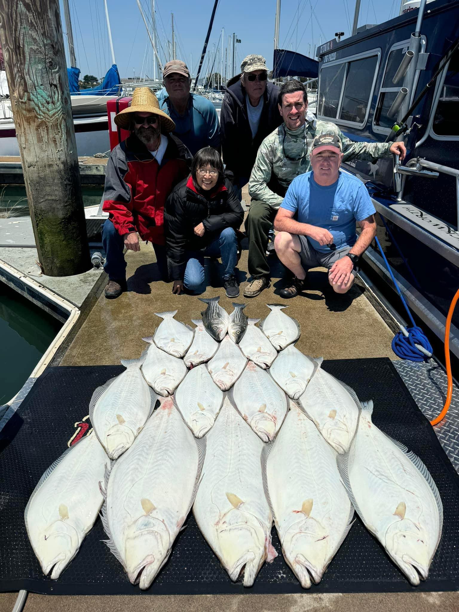 A group on the dock behind a spread of California halibut and a few striped bass