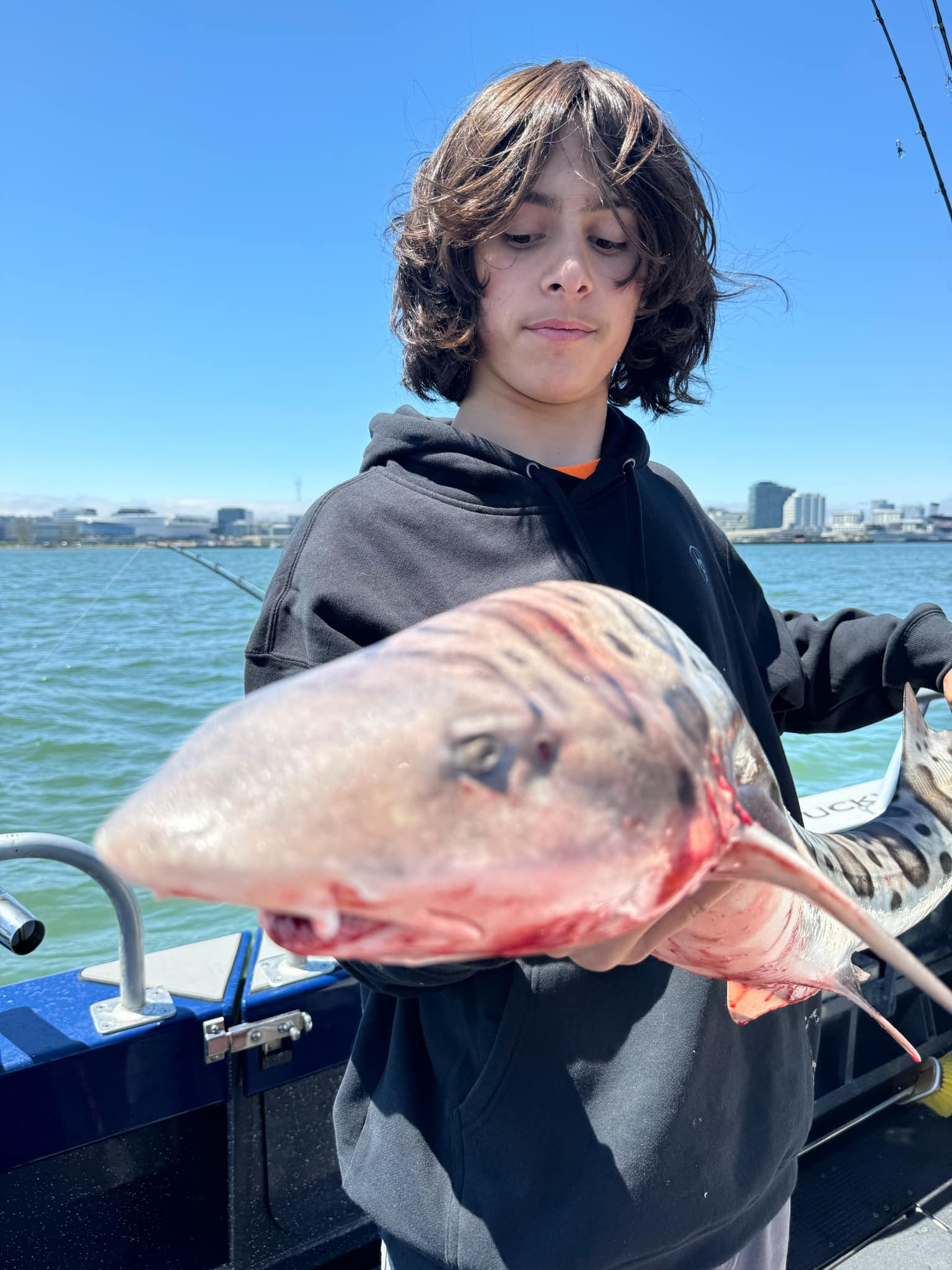A young angler holding a leopard shark on the Bay