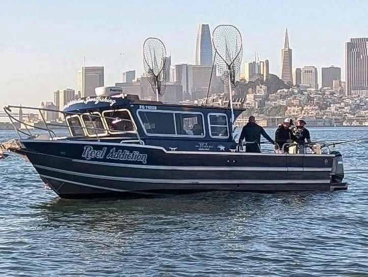 The Duckworth on the Bay with the San Francisco skyline behind