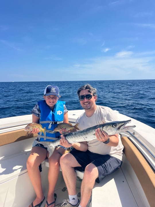 Great Barracuda on the Reef Drift