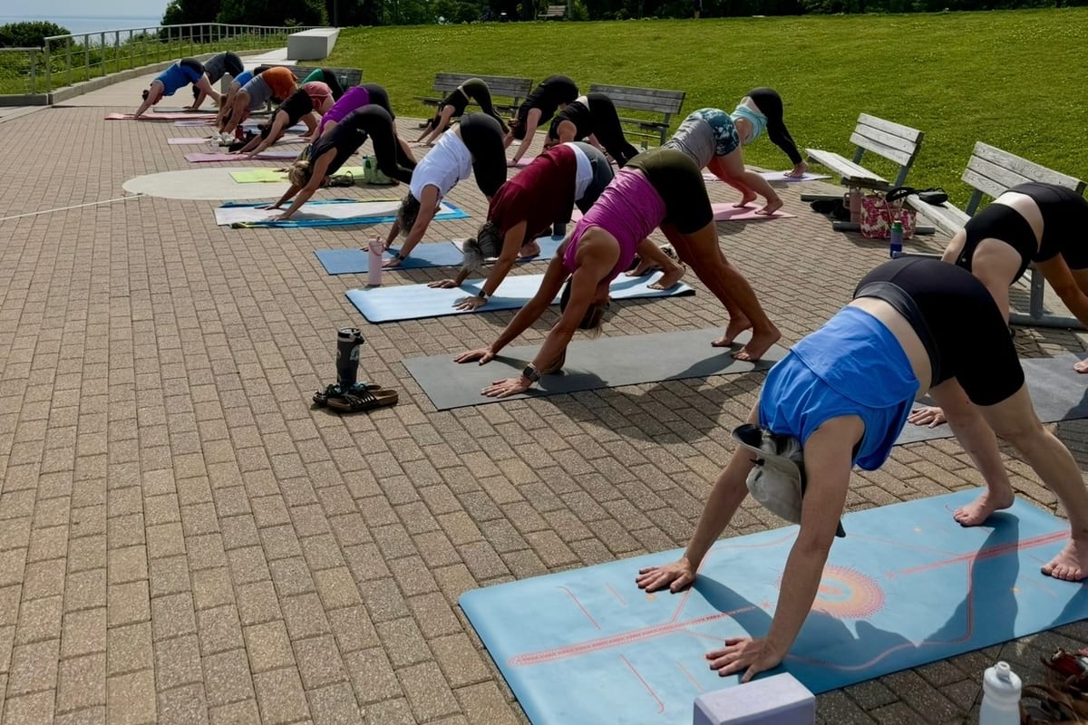 About twenty students in downward dog at an outdoor class by the Cleveland lakefront